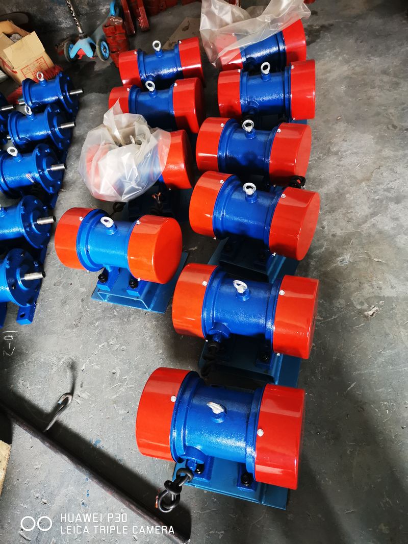 臥式振動電機(jī)1