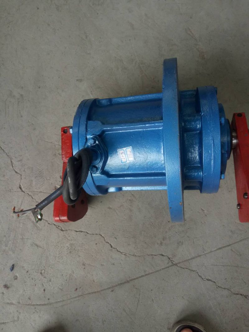 立式振動電機(jī)1 (3)